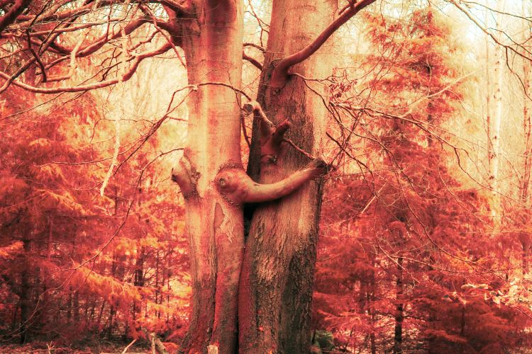 Aksel Kraglund værk