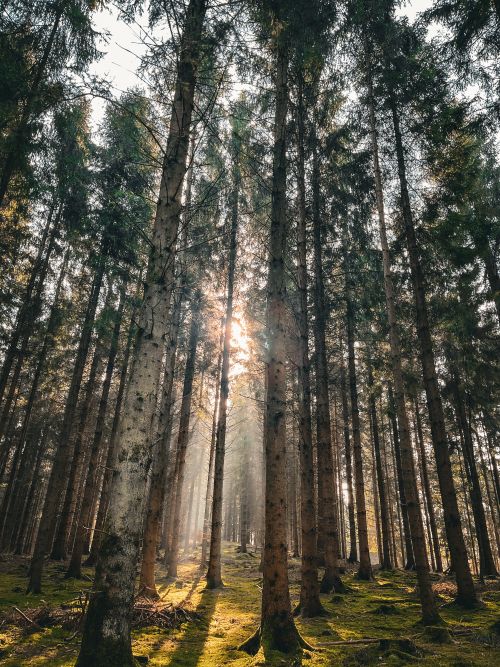 Aksel Kraglund værk